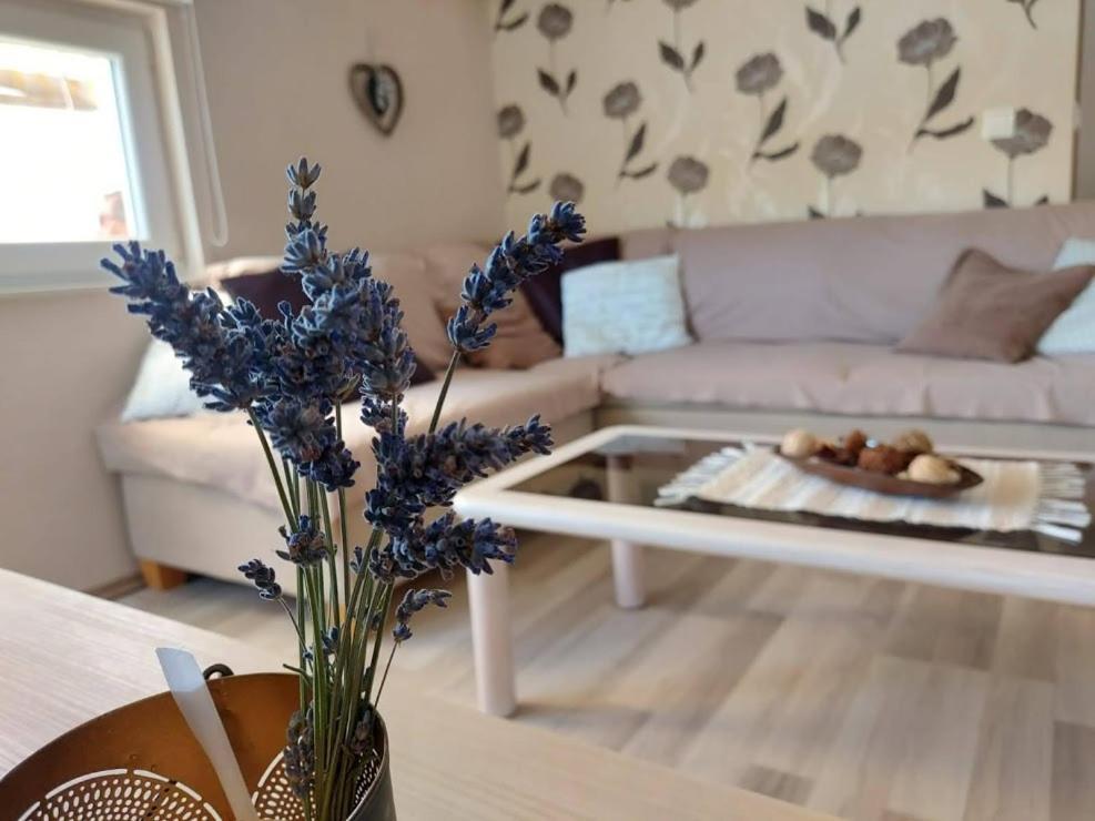 Apartment D&D Grubisic Grebaštica エクステリア 写真